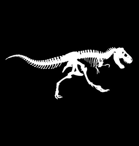 Obrázek produktu Dámské tričko Kostra Tyranosaura Rexe