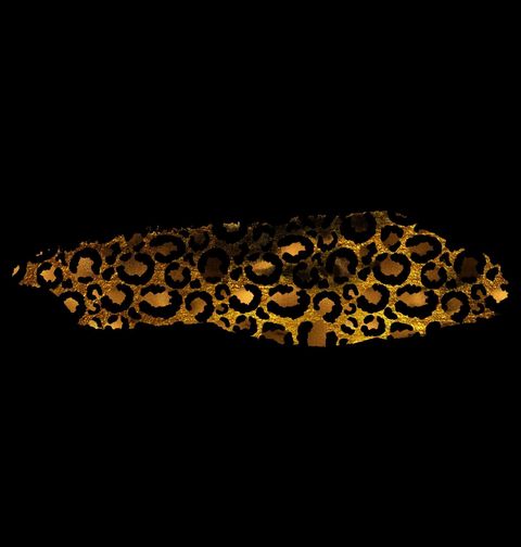 Obrázek produktu Dětské tričko Zlatý Leopardí Vzor