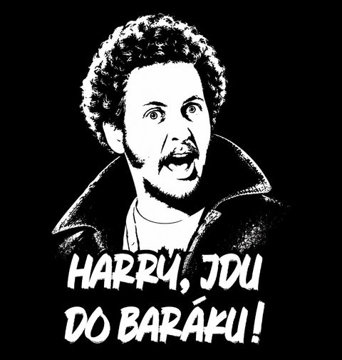Obrázek produktu Pánské tričko Marv Harry, jdu do baráku Sám doma