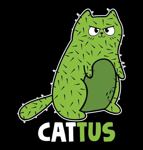Obrázek produktu Pánské tričko Kaktusová Kočka Cattus