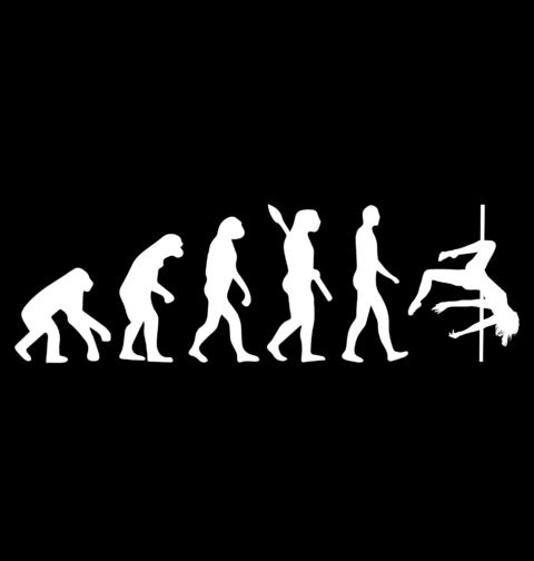 Obrázek produktu Pánské tričko Evoluce Pole Dance