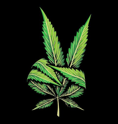 Obrázek produktu Pánská mikina Konopný list míru Weed & Peace
