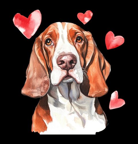 Obrázek produktu Pánské tričko Basset Hound Plný Lásky