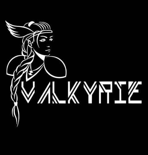 Obrázek produktu Pánské tričko Valkýra Bojovnice Valhally