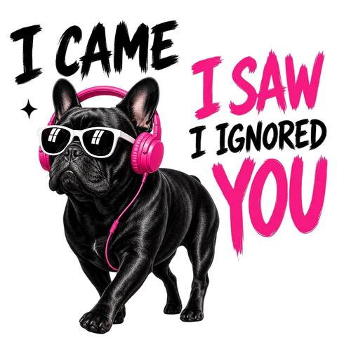 Obrázek produktu Pánské tričko Francouzský buldoček I Came I Saw I Ignored You