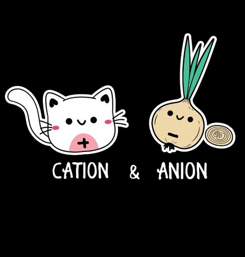 Obrázek produktu Pánské tričko Kočka a Cibule Cation & Anion