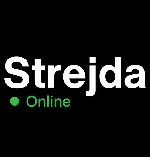 Obrázek produktu Pánské tričko Strejda Online
