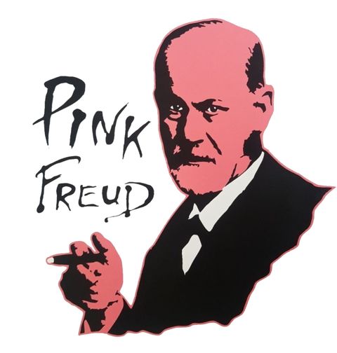 Obrázek produktu Dámské tričko Sigmund Freud + Pink Floyd = Pink Freud