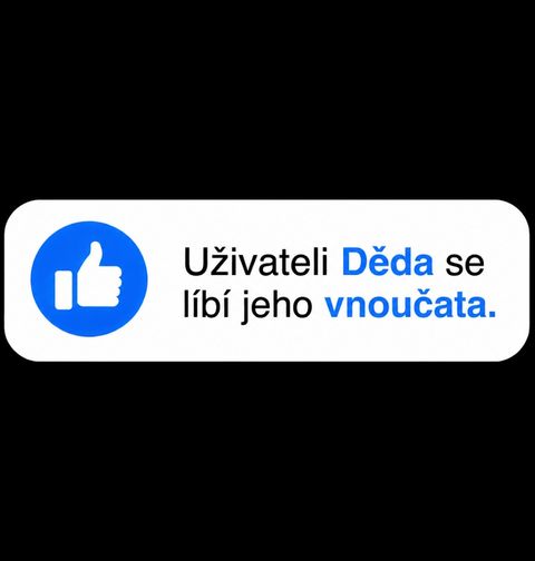 Obrázek produktu Pánské tričko Uživateli Děda se líbí jeho vnoučata