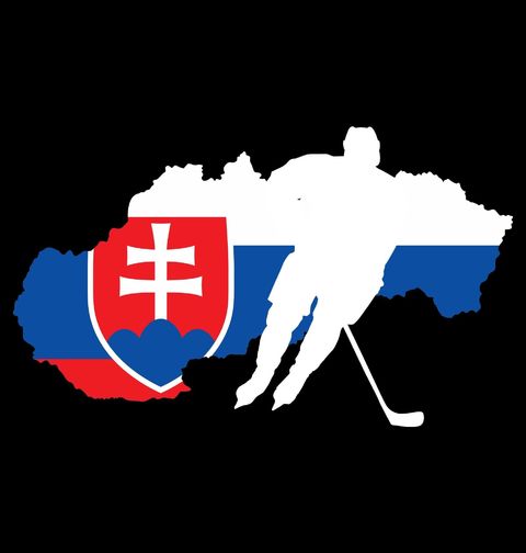 Obrázek produktu Pánské tričko Slovenský Hokejista