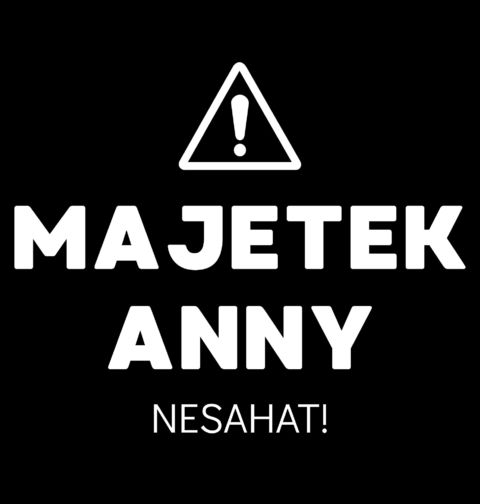 Obrázek produktu Pánské tričko Majetek Anny Nesahat