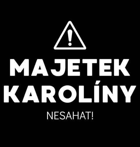 Obrázek produktu Pánské tričko Majetek Karolíny Nesahat