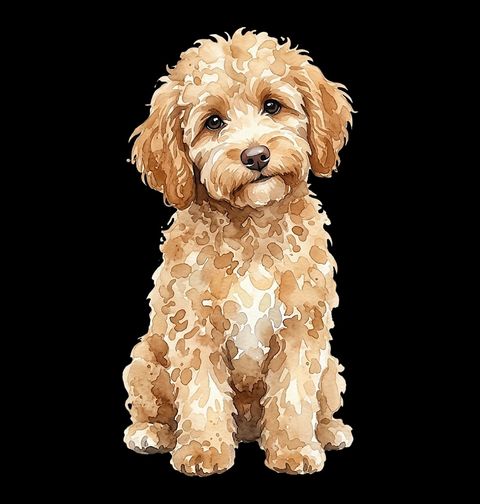 Obrázek produktu Pánské tričko Goldendoodle Chlupatý Parťák
