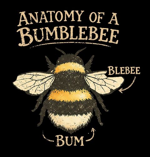 Obrázek produktu Pánské tričko Anatomie Čmeláka Anatomy of a Bumblebee
