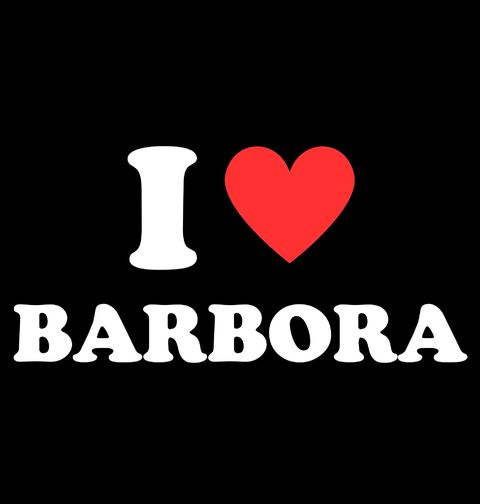 Obrázek produktu Pánské tričko Miluji Barboru I Love Barbora