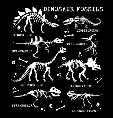 Obrázek produktu Dětské tričko Fosilie Pravěkých Dinosaurů