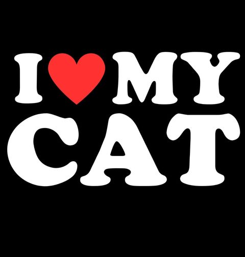 Obrázek produktu Dětské tričko Miluju svoji kočku I Love My Cat