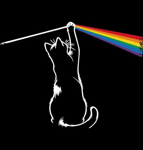 Obrázek produktu Pánské tričko Kočičí duha - Dark side of the moon