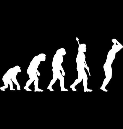 Obrázek produktu Pánská mikina Evoluce skoku do vody