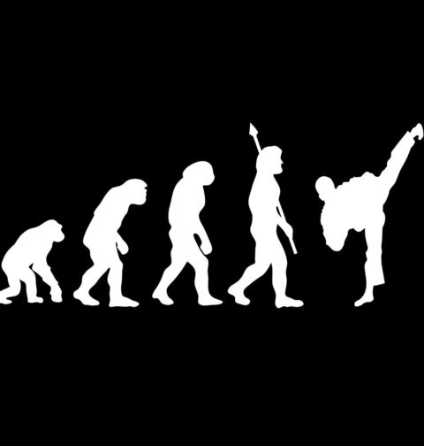 Obrázek produktu Dětské tričko Evoluce Kung-fu