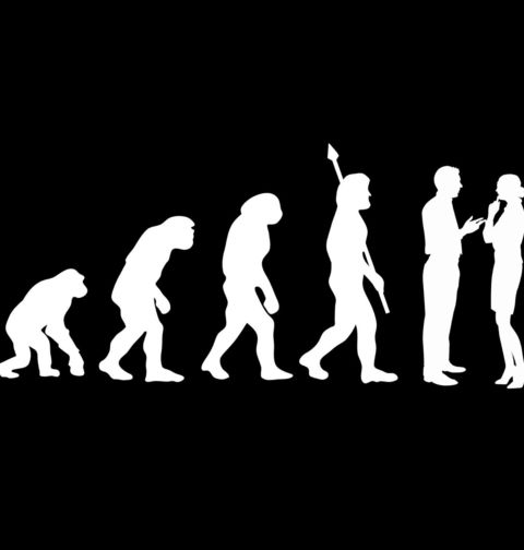 Obrázek produktu Dámské tričko Evoluce manželství