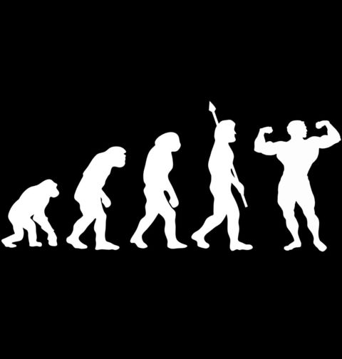 Obrázek produktu Pánské tričko Evoluce bodybuildera