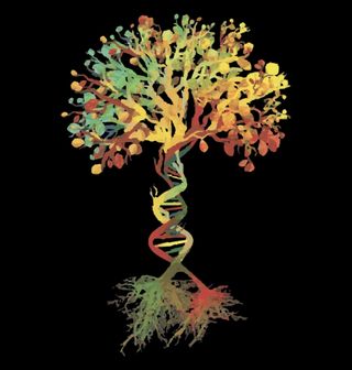 Obrázek 2 produktu Dámské tričko DNA Strom Života