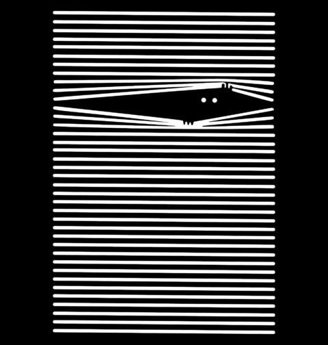 Obrázek produktu Dámské tričko Sleduju tě Peeking Through Blinds