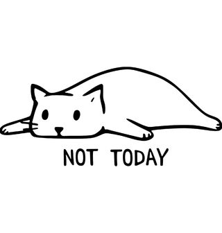 Obrázek 2 produktu Dámské tričko Líná Kočka Not today