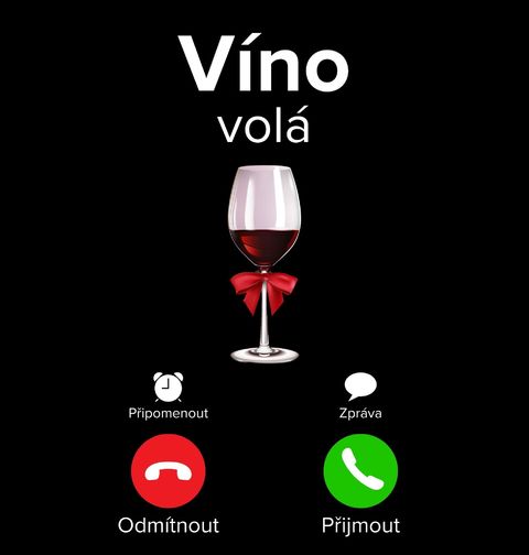 Obrázek produktu Dámské tričko Víno volá Phone Call