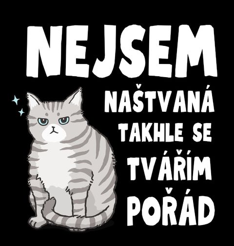 Obrázek produktu Bavlněná taška Kočka Nejsem naštvaná, takhle se tvářím pořád