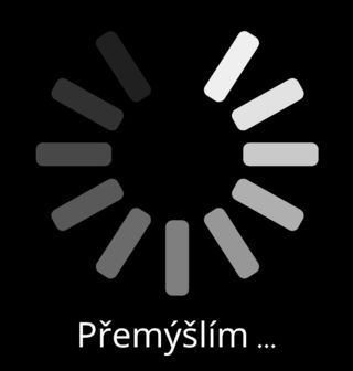 Obrázek 2 produktu Pánská mikina Přemýšlím... Loading