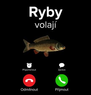 Obrázek 2 produktu Dámské tričko Ryby volají Phone Call