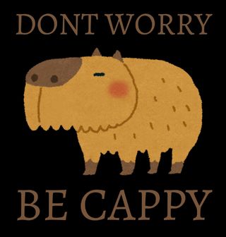 Obrázek 2 produktu Pánská mikina Kapybara Don't Worry Be Cappy