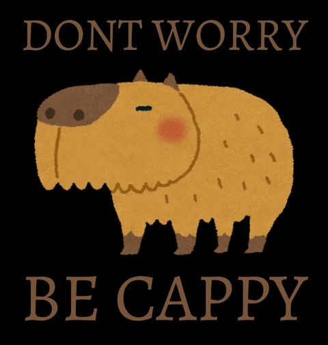 Obrázek produktu Pánská mikina Kapybara Don't Worry Be Cappy