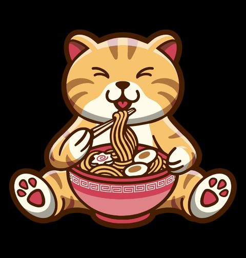 Obrázek produktu Dámské tričko Kočka Ramen