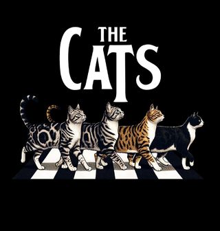 Obrázek 2 produktu Dámské tričko The Cats Beatles Kočky Abbey Road