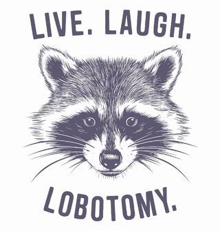 Obrázek 2 produktu Pánské tričko Mýval Live Laugh Lobotomy