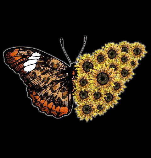 Obrázek produktu Pánská mikina Slunečnicový Motýl Babočka Sunflower Butterfly
