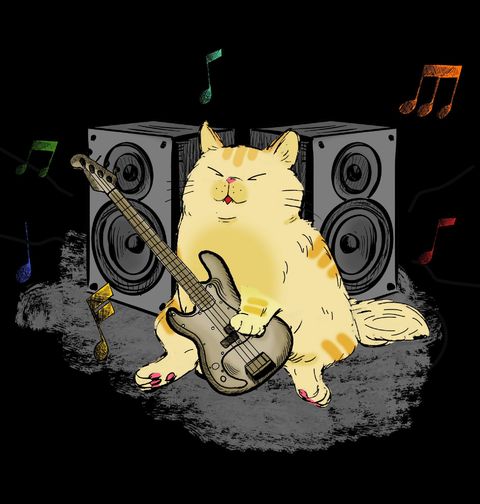 Obrázek produktu Pánská mikina Kočka s Baskytarou Cat Bass Player