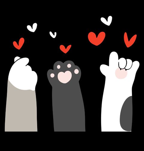 Obrázek produktu Dětské tričko Tři Kočičí Tlapky Cat Paws Hearts