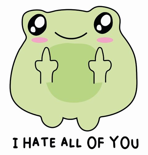 Obrázek produktu Dámské tričko Žába Všechny vás nenávidím Frog I Hate All of You