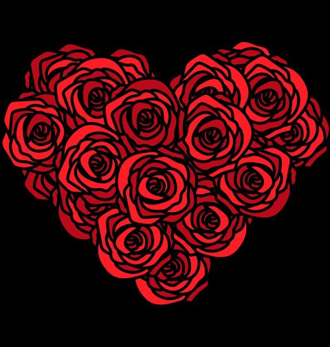 Obrázek produktu Dětské tričko Srdce z růží Red Roses Heart