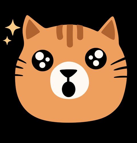 Obrázek produktu Pánská mikina Překvapená kočka Cute Surprised Cat