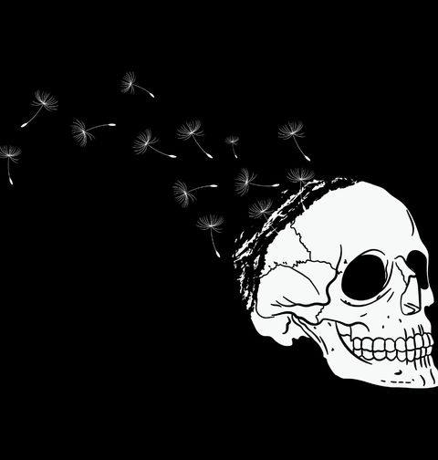 Obrázek produktu Pánské tričko Lebka z Pampelišek Skull Dandelion