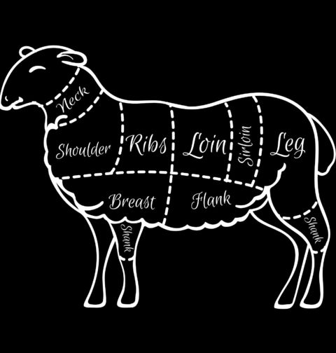 Obrázek produktu Pánské tričko Části jehněčího masa Lamb Meat Cuts