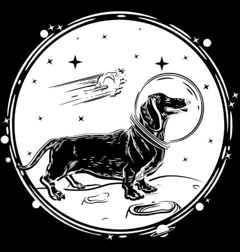 Obrázek produktu Pánské tričko Jezevčík na Měsíci Dachshund in Space