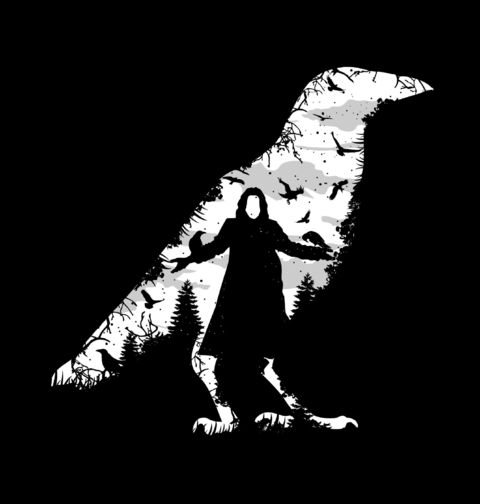 Obrázek produktu Dětské tričko Vrána The Crow