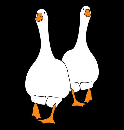 Obrázek produktu Pánské tričko Dvě Husy Double Goose