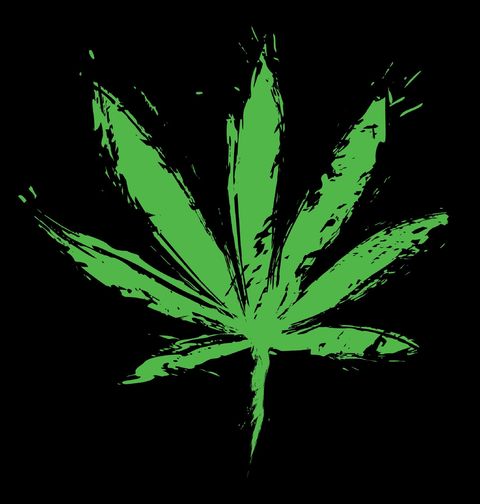 Obrázek produktu Pánské tričko List Marihuany Cannabis Leaf
